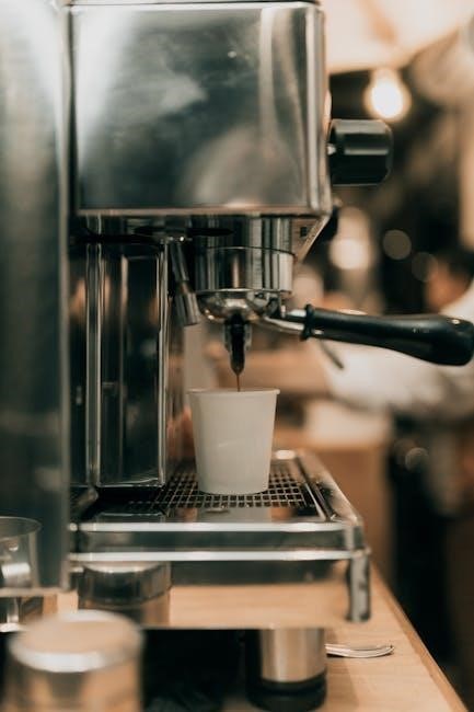 braun coffee maker user manual